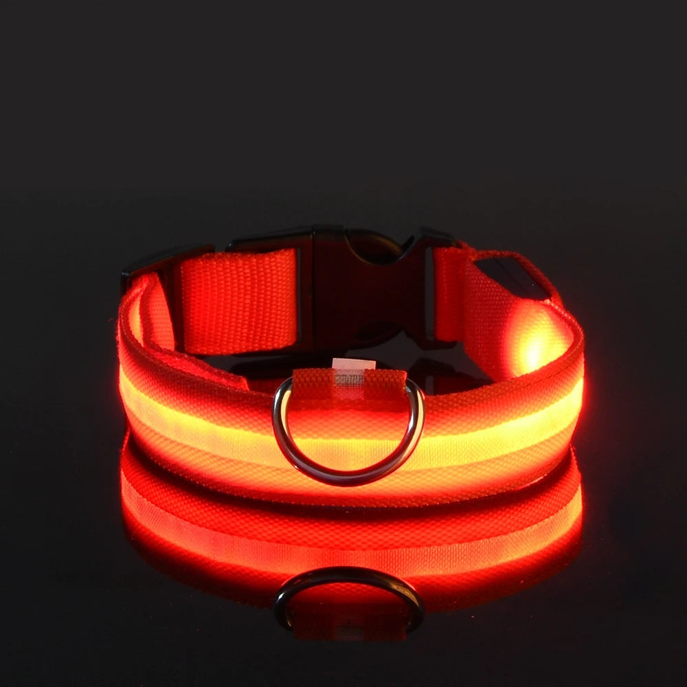 Nylon LED Night Safety Flashing Glow for Dogs from CORVO