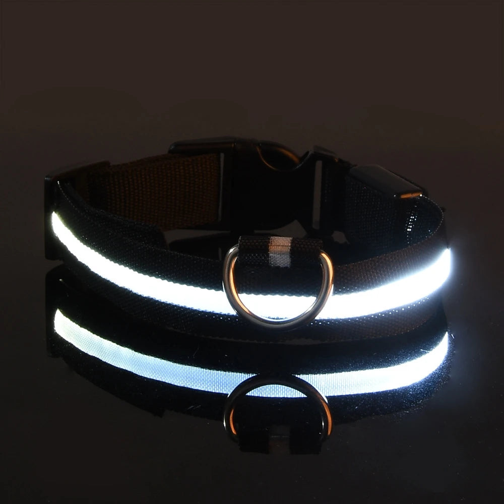 Nylon LED Night Safety Flashing Glow for Dogs from CORVO