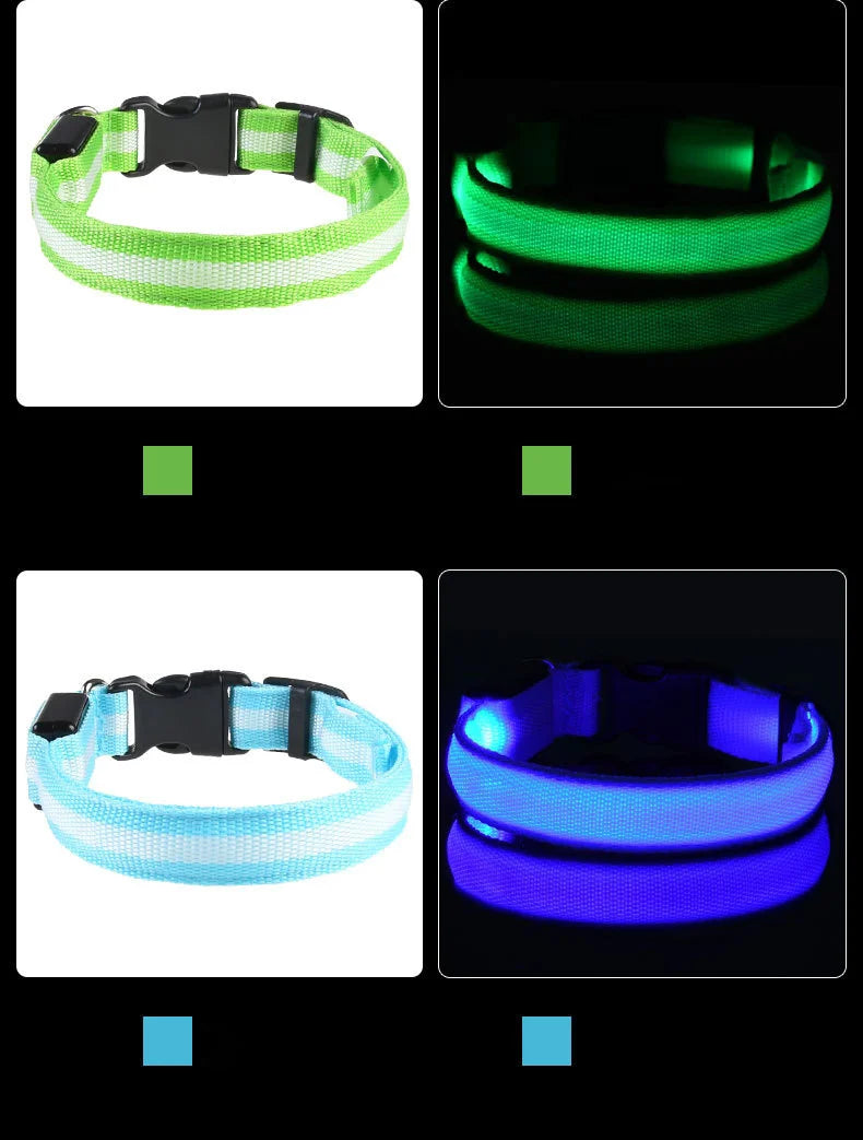 Nylon LED Night Safety Flashing Glow for Dogs from CORVO