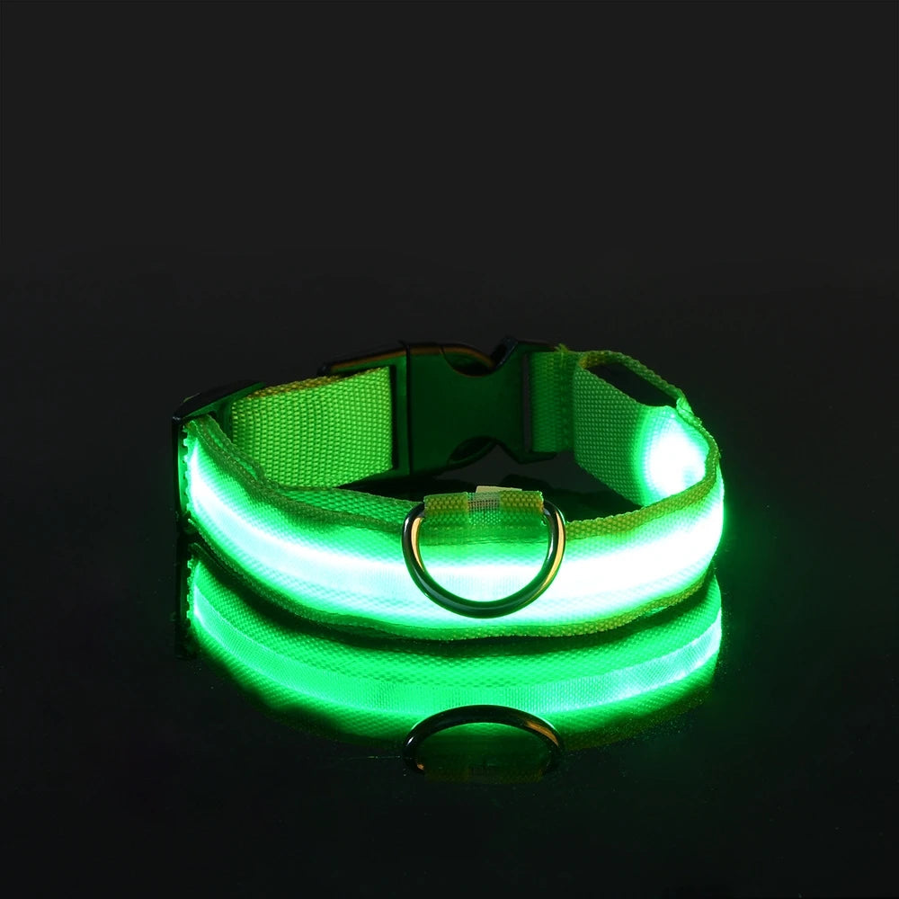 Nylon LED Night Safety Flashing Glow for Dogs from CORVO
