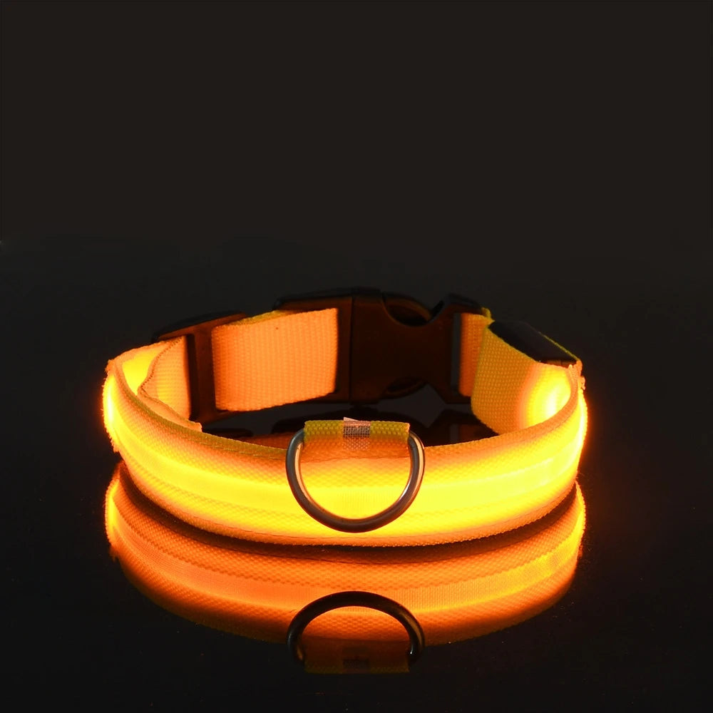 Nylon LED Night Safety Flashing Glow for Dogs from CORVO