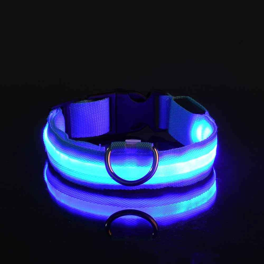 Nylon LED Night Safety Flashing Glow for Dogs from CORVO