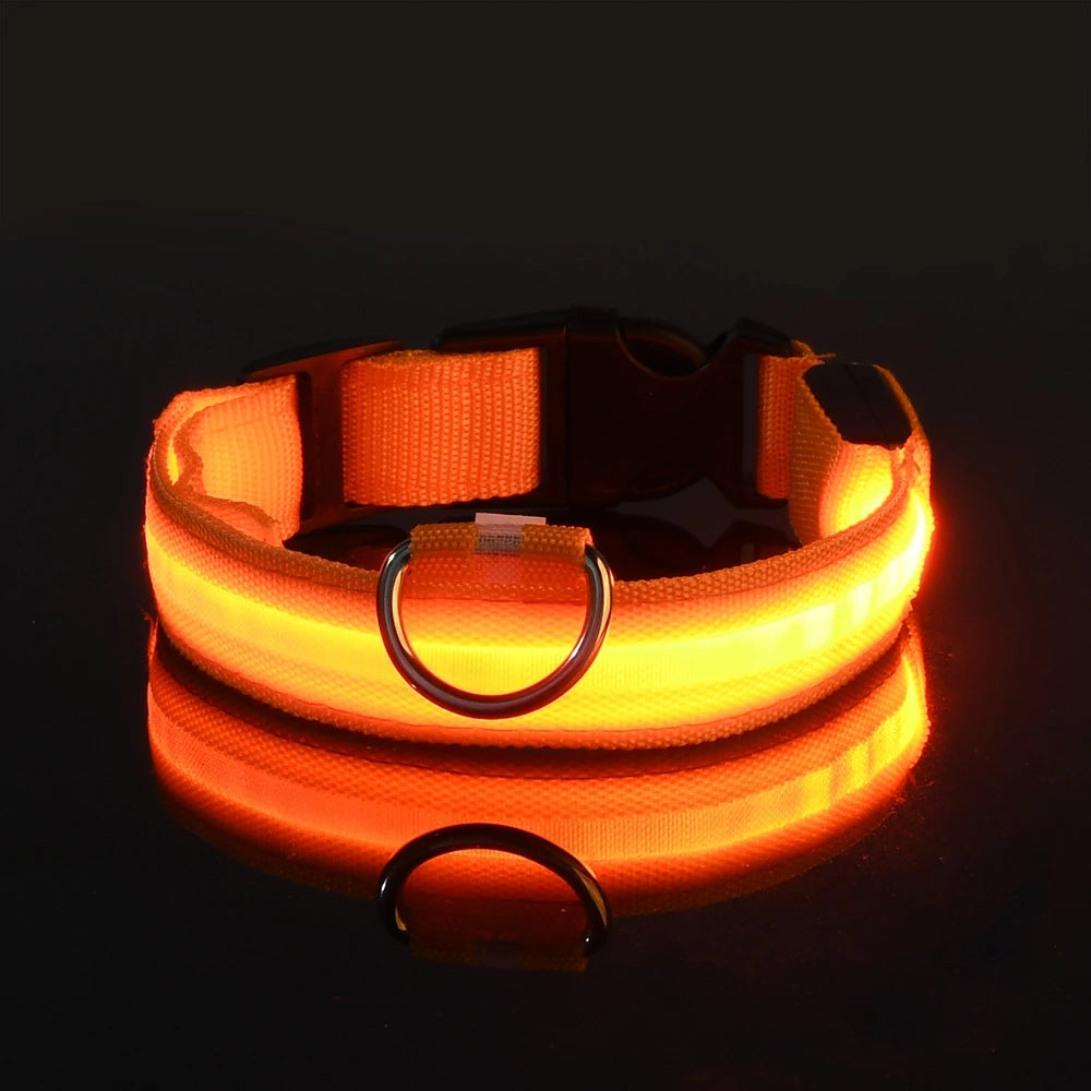 Nylon LED Night Safety Flashing Glow for Dogs from CORVO