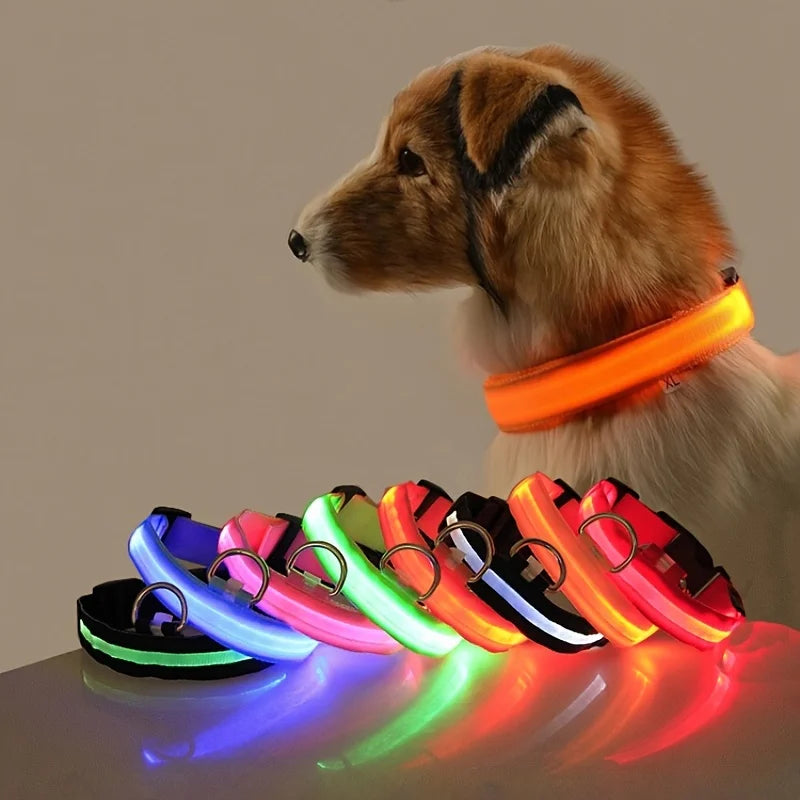 Nylon LED Night Safety Flashing Glow for Dogs from CORVO