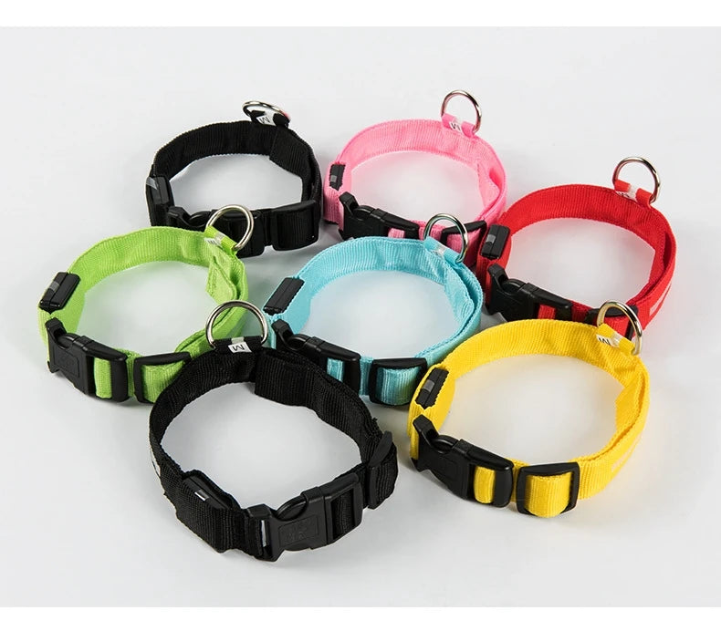 Nylon LED Night Safety Flashing Glow for Dogs from CORVO
