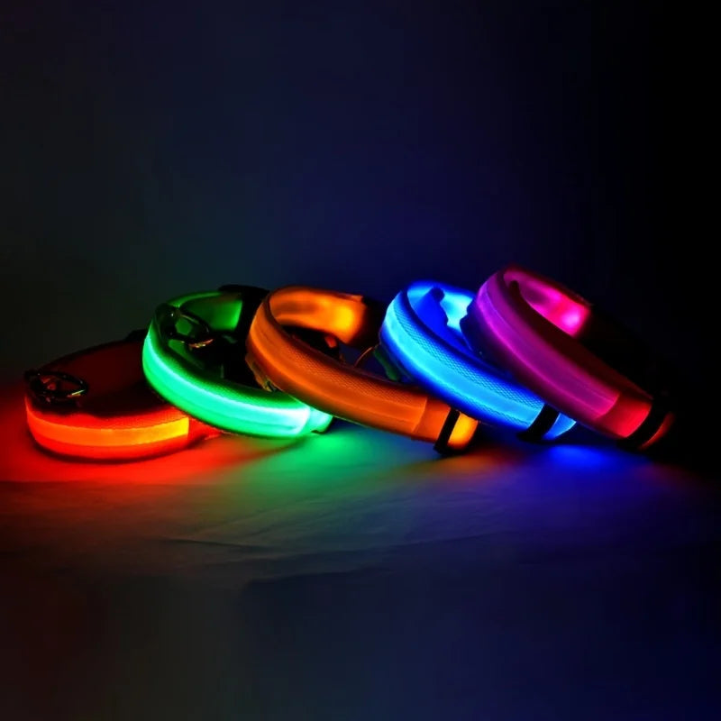 Nylon LED Night Safety Flashing Glow for Dogs from CORVO
