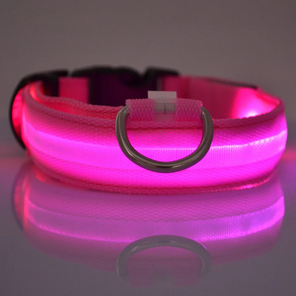 Nylon LED Night Safety Flashing Glow for Dogs from CORVO