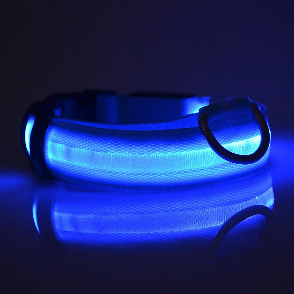 Nylon LED Night Safety Flashing Glow for Dogs from CORVO
