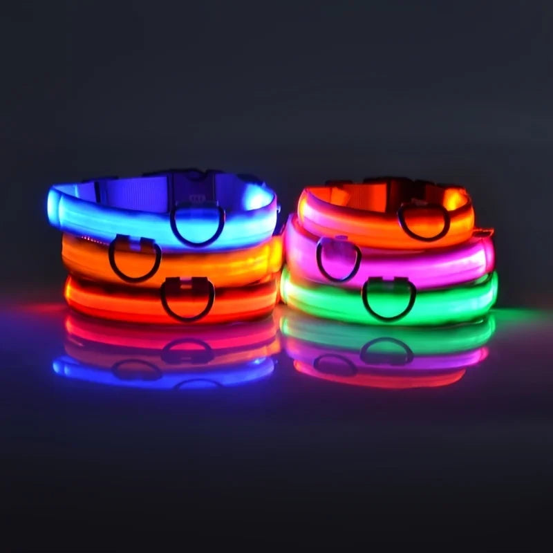 Nylon LED Night Safety Flashing Glow for Dogs from CORVO