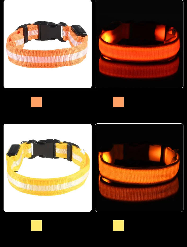 Nylon LED Night Safety Flashing Glow for Dogs from CORVO