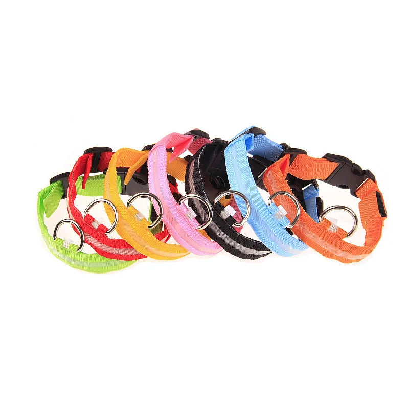 Nylon LED Night Safety Flashing Glow for Dogs from CORVO