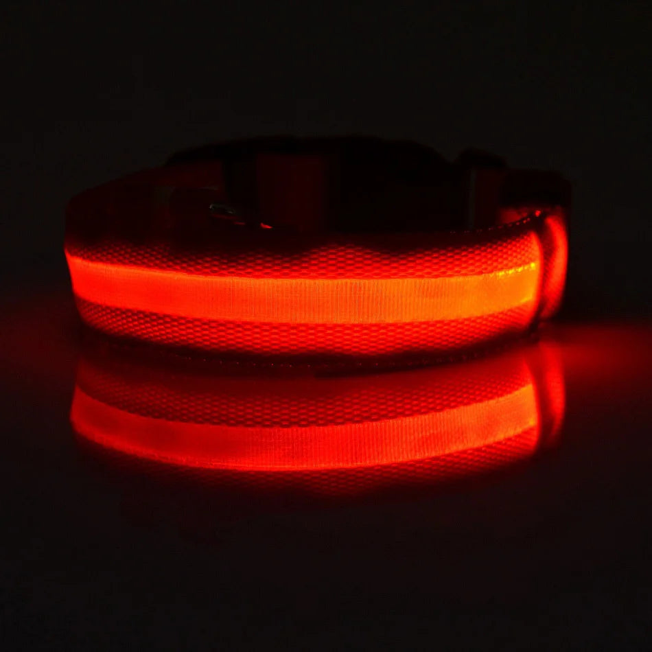 Nylon LED Night Safety Flashing Glow for Dogs from CORVO