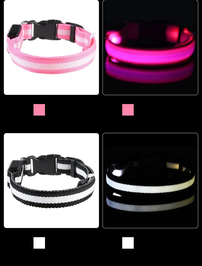Nylon LED Night Safety Flashing Glow for Dogs from CORVO