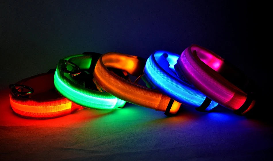 Nylon LED Night Safety Flashing Glow for Dogs from CORVO