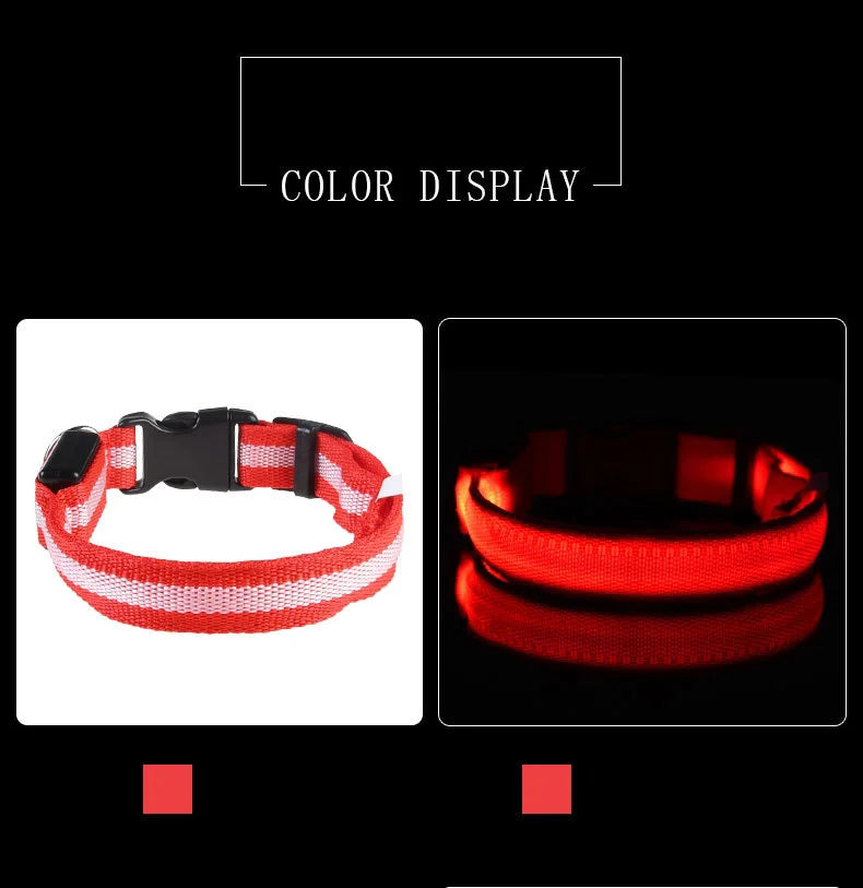 Nylon LED Night Safety Flashing Glow for Dogs from CORVO